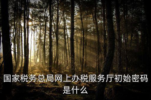 江蘇地稅登錄密碼是什么意思，江蘇地稅開票密碼是多少