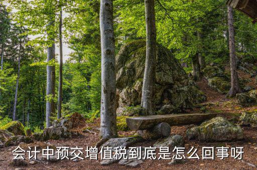 增值稅為什么要預(yù)繳，輔導(dǎo)期增購增值稅發(fā)票為什么要預(yù)繳
