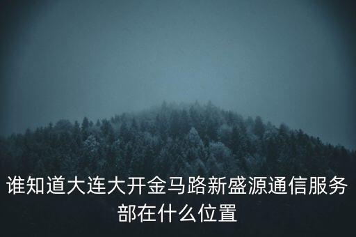 信息服務(wù)部可以叫什么地方，誰(shuí)知道大連大開(kāi)金馬路新盛源通信服務(wù)部在什么位置