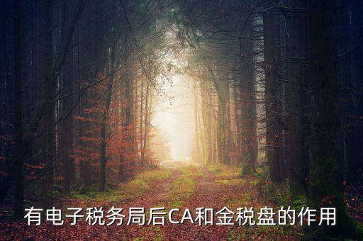 電子稅務(wù)局有什么用，有電子稅務(wù)局后CA和金稅盤(pán)的作用