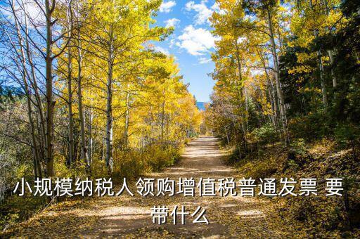 領(lǐng)增值稅普通發(fā)票需要什么資料，小規(guī)模納稅人領(lǐng)購增值稅普通發(fā)票 要帶什么