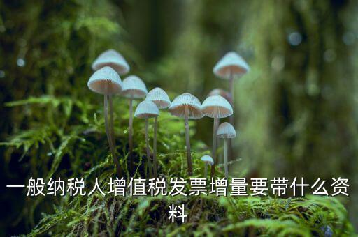 增加開票人需要什么資料，申請(qǐng)開票人變更需要哪些材料