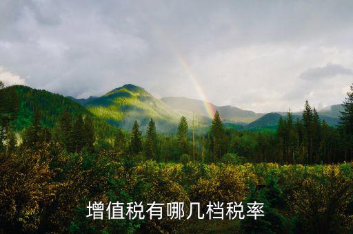 增值稅四檔稅率是什么，增值稅有哪幾檔稅率
