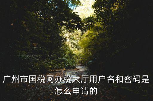 廣州國稅官網(wǎng)登錄密碼是什么原因，國稅第一次網(wǎng)上申報的登陸密碼是什么