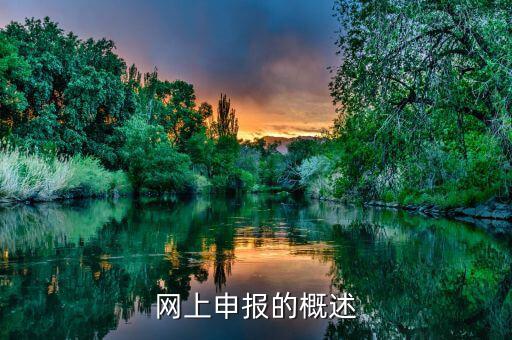 網(wǎng)上申報(bào)什么意思，網(wǎng)上申報(bào)是什么意思
