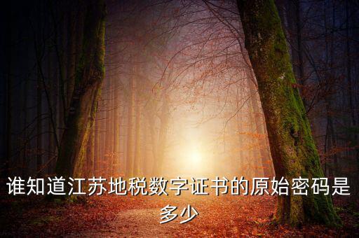江蘇地稅登錄密碼是什么，江蘇地稅開票密碼是多少