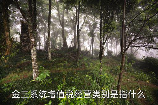 稅局的金三是指什么意思，金稅三期是什么意思