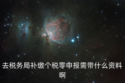 個稅補交帶什么資料，去稅務局補繳個稅零申報需帶什么資料啊