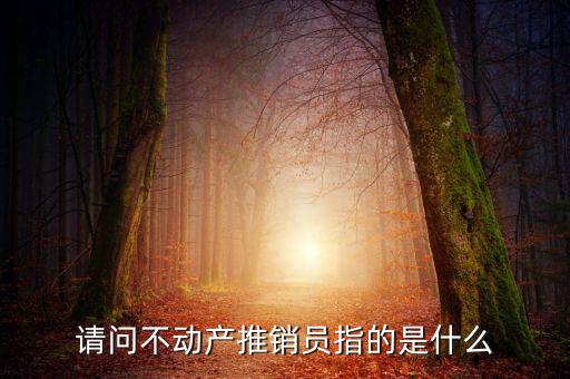 銷售不動(dòng)產(chǎn)指的是什么意思，什么是銷售不動(dòng)產(chǎn)
