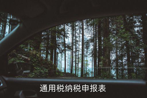 通用申報表稅是什么，通用稅納稅申報表