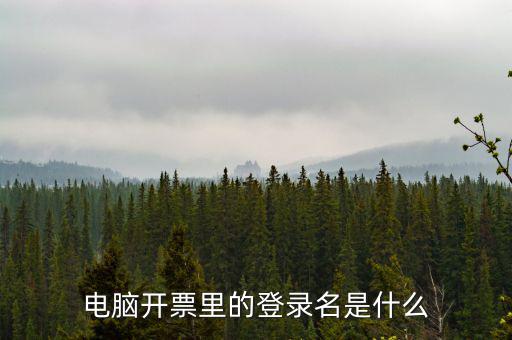 電子稅務(wù)局登錄賬號(hào)是什么意思，企業(yè)金稅盤系統(tǒng)用來(lái)開票抄稅報(bào)稅用那登錄國(guó)稅地稅局網(wǎng)站是干嘛的