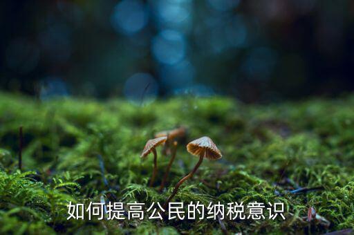 什么是納稅漫畫宣傳，魁拔第一部的投入官方說是3500萬一部動漫為什么投資那么大都花