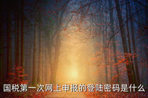 網(wǎng)上稅稅通密碼是什么，國(guó)稅第一次網(wǎng)上申報(bào)的登陸密碼是什么