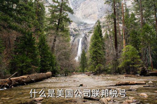 什么是美國公司聯(lián)邦稅號(hào)