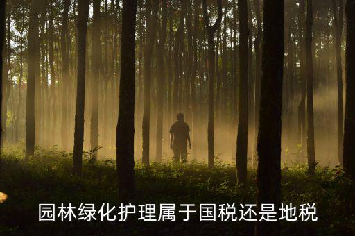 綠化養(yǎng)護(hù)屬于什么稅種，園林綠化護(hù)理屬于國稅還是地稅