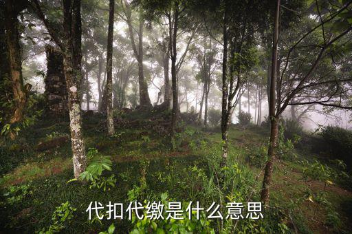稅務(wù)代收什么意思，代扣代繳是什么意思