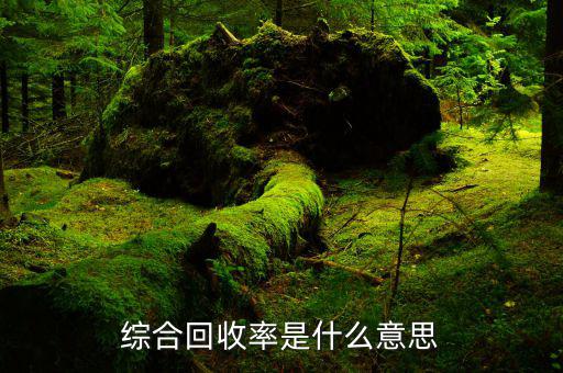 什么是綜合征收率，征收率的通俗解釋
