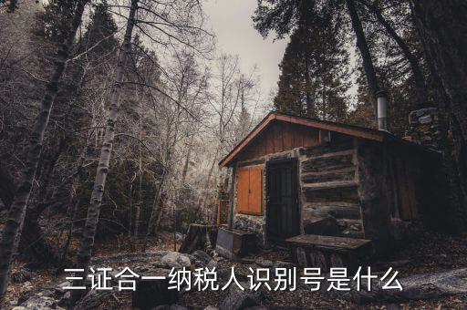 稅號(hào)識(shí)別號(hào)是什么意思，納稅人編碼 納稅人識(shí)別號(hào)有什么區(qū)別