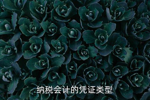 應(yīng)納稅憑證種類是什么，憑證種類999是什么