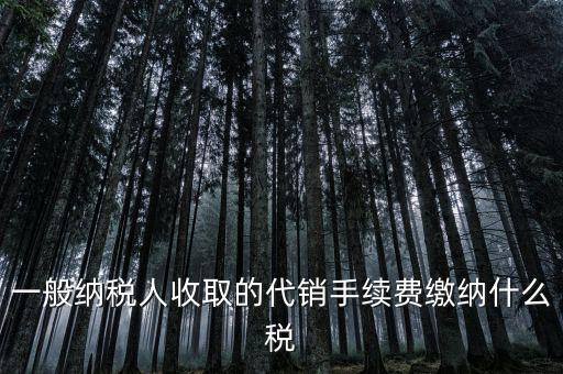 代理服務(wù)費(fèi)交什么稅，一般納稅人收取的代銷手續(xù)費(fèi)繳納什么稅