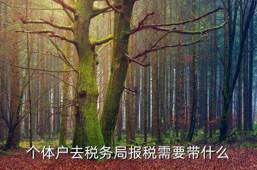 個(gè)體戶定稅需要帶什么意思，個(gè)體戶去稅局交稅都需要帶甚么