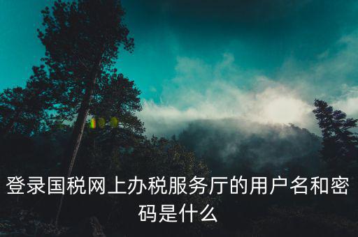 電子稅務(wù)局登錄密碼是什么，國(guó)稅第一次網(wǎng)上申報(bào)的登陸密碼是什么