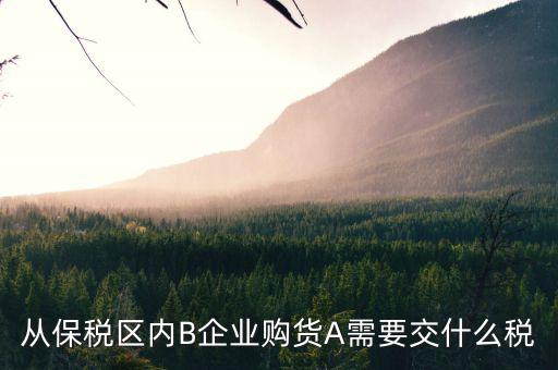 綜合保稅區(qū)要交什么稅，保稅區(qū)的進(jìn)口貨物經(jīng)加工后出口免交出口稅要交進(jìn)入保稅區(qū)的進(jìn)口