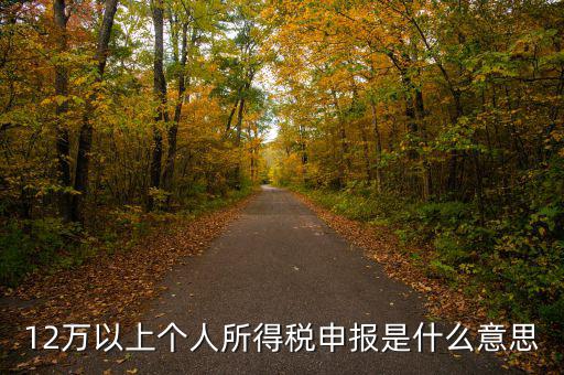 申報個稅什么意思，個稅明細申報是指什么