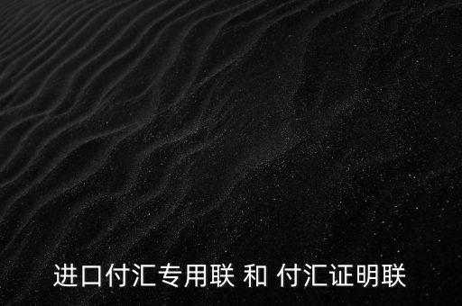 進(jìn)口付匯專(zhuān)用聯(lián) 和 付匯證明聯(lián)