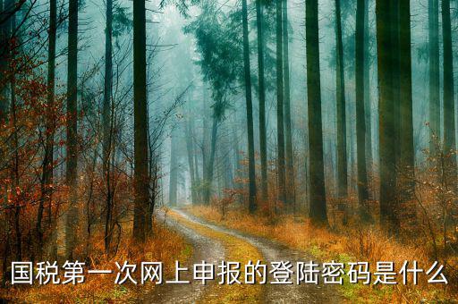 廣州國(guó)稅官網(wǎng)登錄密碼是什么，稅務(wù)局網(wǎng)站的登入賬戶初始密碼是什么