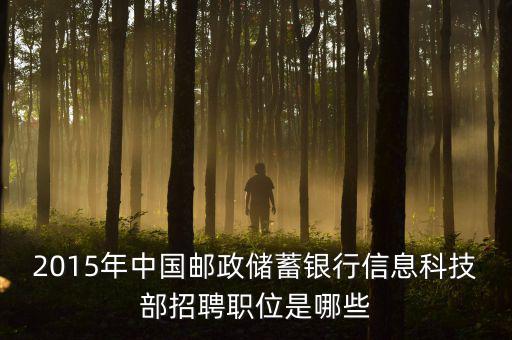 郵政2015主要工作為11333是什么，關(guān)于2015年的郵政郵遞員工作的問題