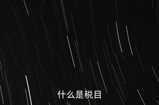 什么是稅法 文化，中華人民共和國地稅法