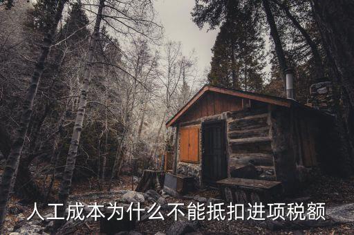 為什么不能抵扣進(jìn)項(xiàng)稅，人工成本為什么不能抵扣進(jìn)項(xiàng)稅額