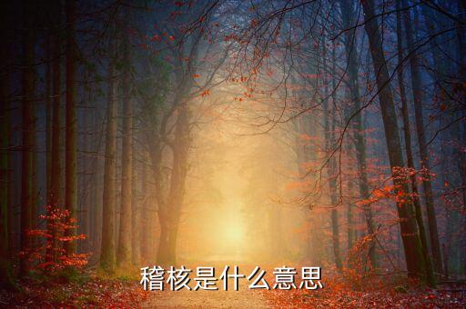 稽查業(yè)務什么意思，稽核是什么意思