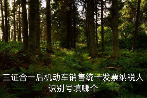 統(tǒng)一納稅識(shí)別號(hào)是什么，三證合一后機(jī)動(dòng)車銷售統(tǒng)一發(fā)票納稅人識(shí)別號(hào)填哪個(gè)