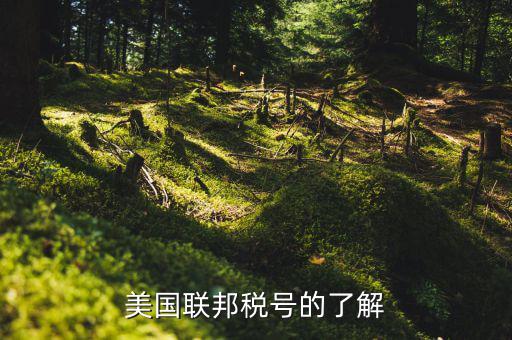 美國聯(lián)邦稅號(hào)的了解