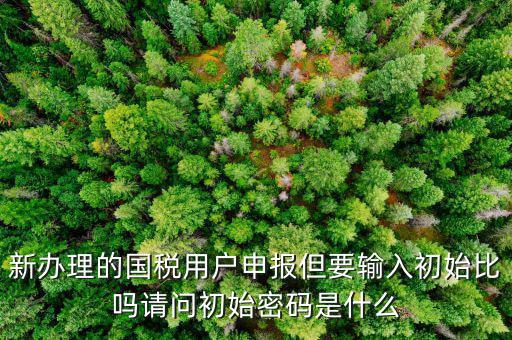 初始申報(bào)密碼是什么，小關(guān)稅務(wù)所 新企業(yè) 網(wǎng)上納稅申報(bào)初始密碼是什么