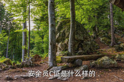 數(shù)字人事是什么樣的，數(shù)字人事是什么