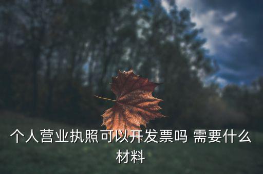 個體打印發(fā)票需要什么，個人購物開增值稅普通發(fā)票需要什么資料