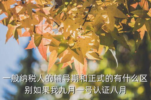 稅務(wù)輔導(dǎo)期是什么意思，什么是輔導(dǎo)期一般納稅人