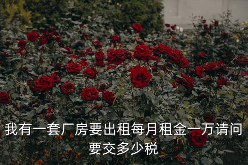 個人租廠房要交什么稅，我有一套廠房要出租每月租金一萬請問要交多少稅
