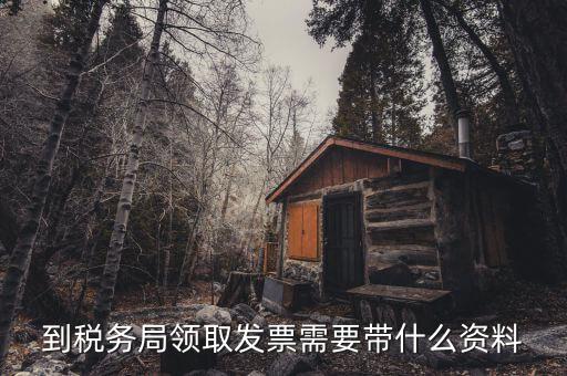 日常領購發(fā)票需要帶什么，到稅務局領取發(fā)票需要帶什么資料