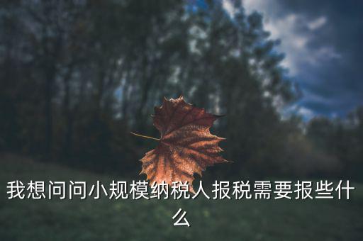 小規(guī)模國稅申報些什么，小規(guī)模納稅人國稅需要報什么資料