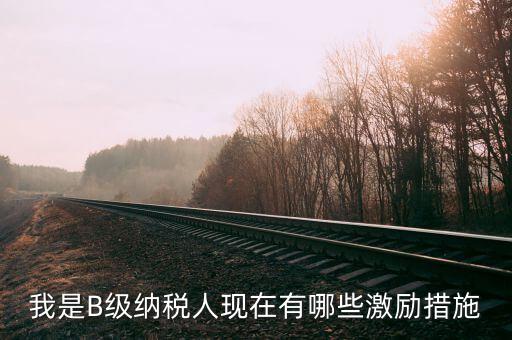 稅務(wù)信用等級(jí)b有什么用，企業(yè)納稅信用等級(jí)有何用處