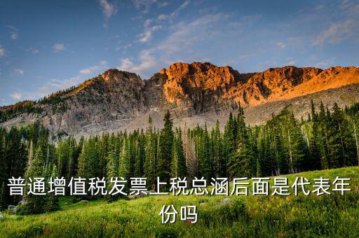 稅總涵2016代表什么意思，稅總財(cái)行便函201616號(hào)保險(xiǎn)公司開具保險(xiǎn)發(fā)票車船稅只在備注
