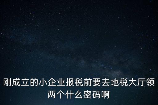 繳稅服務(wù)廳口令輸什么，剛成立的小企業(yè)報(bào)稅前要去地稅大廳領(lǐng)兩個(gè)什么密碼啊