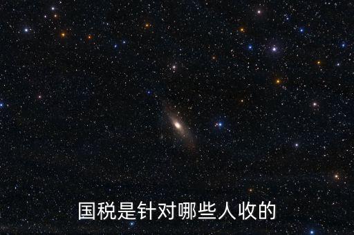 國(guó)稅都有什么人才庫(kù)，國(guó)稅有哪幾種
