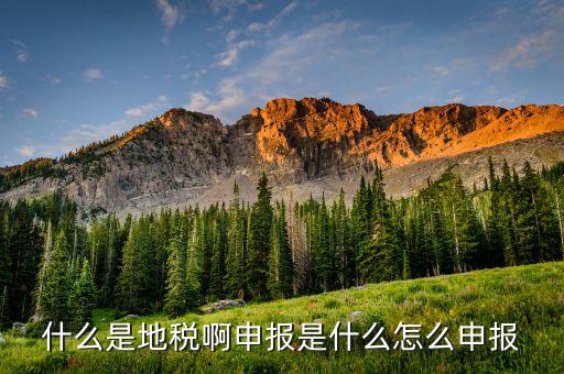 深圳市的地稅申報是什么意思，地稅申報是怎么回事