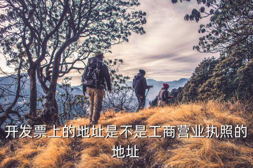 開票地址是什么，有沒有公文說開票的地址是填寫注冊(cè)地還是經(jīng)營地址