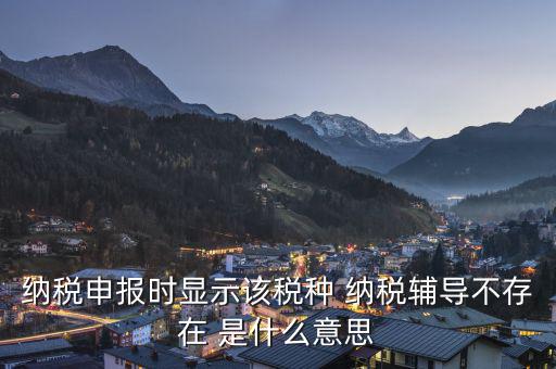 納稅輔導(dǎo)是什么意思，納稅申報(bào)時(shí)顯示該稅種 納稅輔導(dǎo)不存在 是什么意思